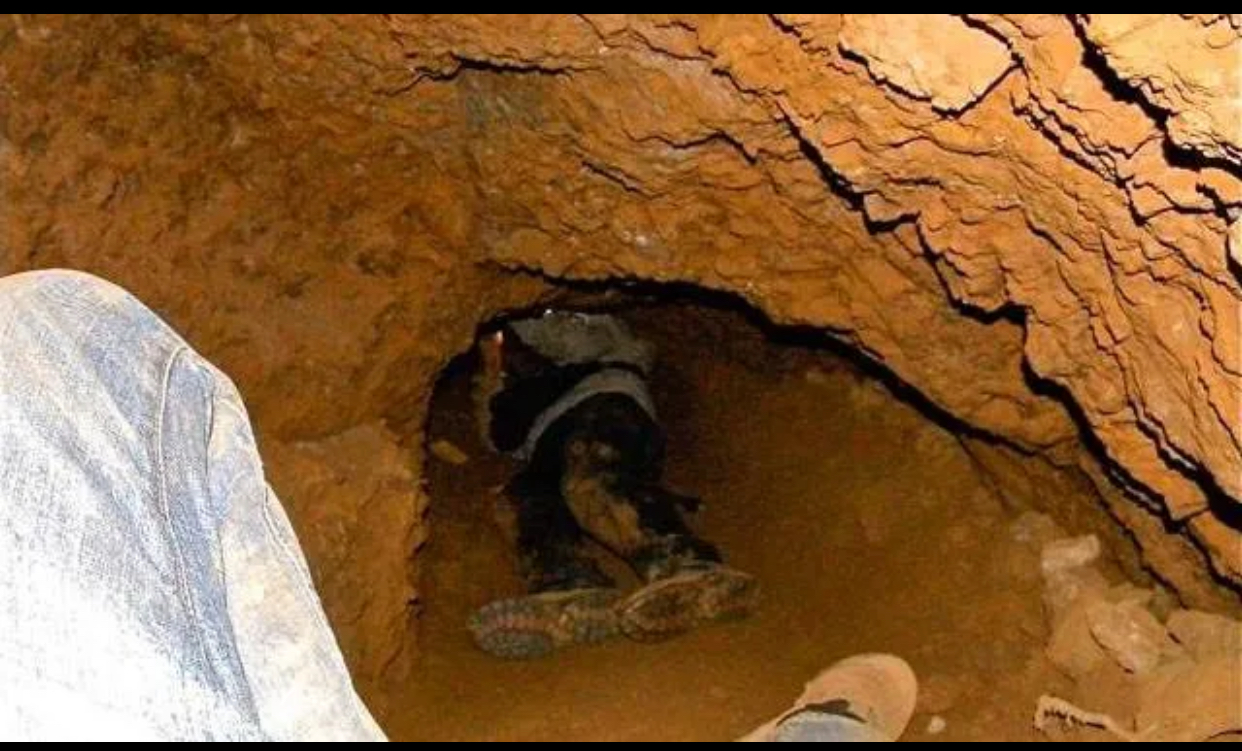 Galamsey Pits Claim 22 Lives in Central Region – NADMO